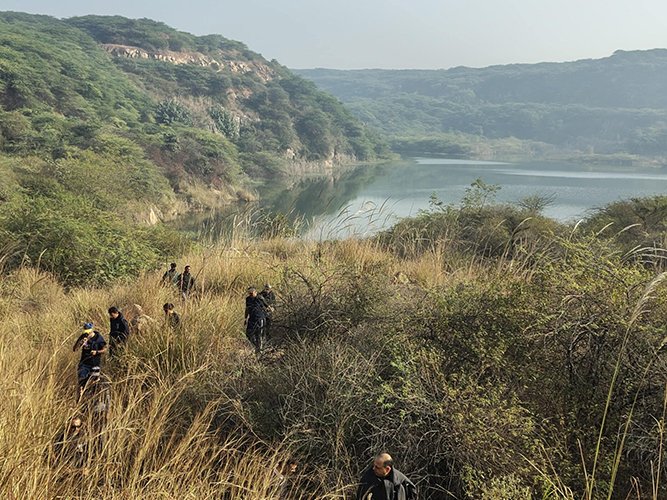 Jungle Hiking