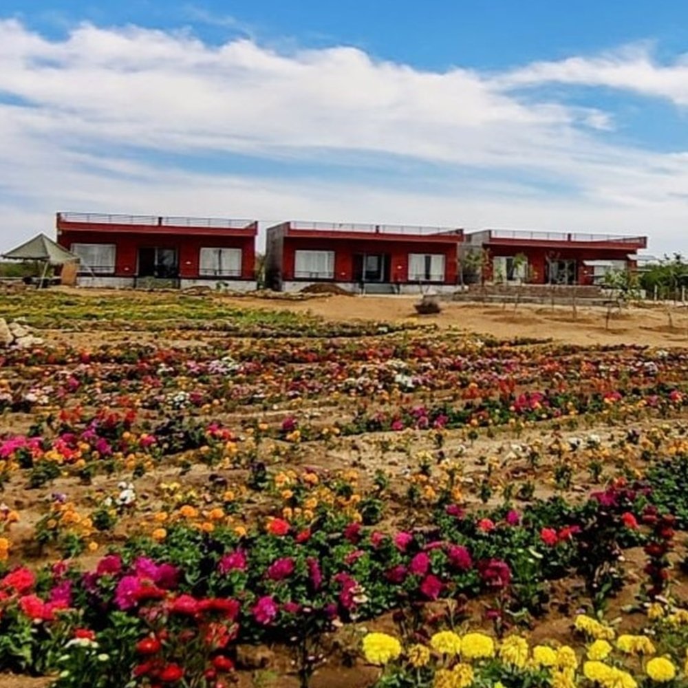 gokuljawai6